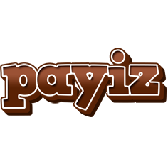 Payiz brownie logo