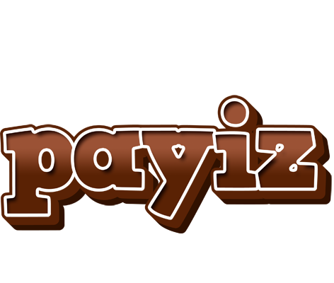 Payiz brownie logo