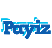 Payiz business logo