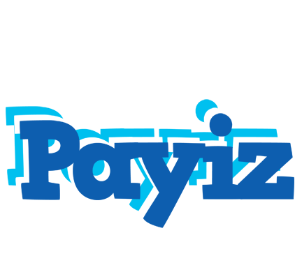Payiz business logo