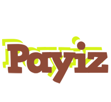 Payiz caffeebar logo