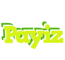 Payiz citrus logo