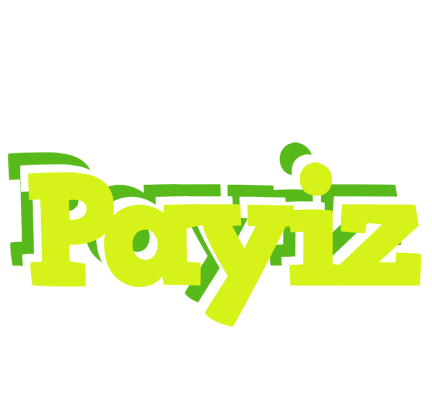 Payiz citrus logo