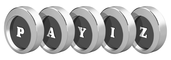 Payiz coins logo