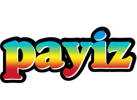 Payiz color logo