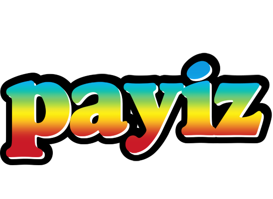 Payiz color logo