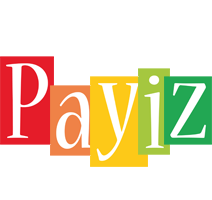 Payiz colors logo