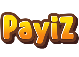 Payiz cookies logo