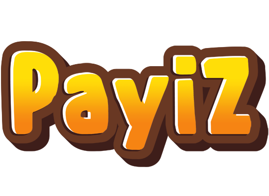 Payiz cookies logo