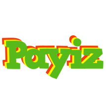 Payiz crocodile logo