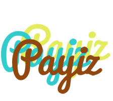 Payiz cupcake logo