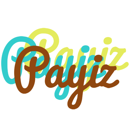 Payiz cupcake logo