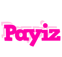 Payiz dancing logo