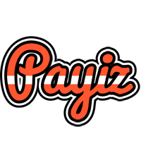 Payiz denmark logo