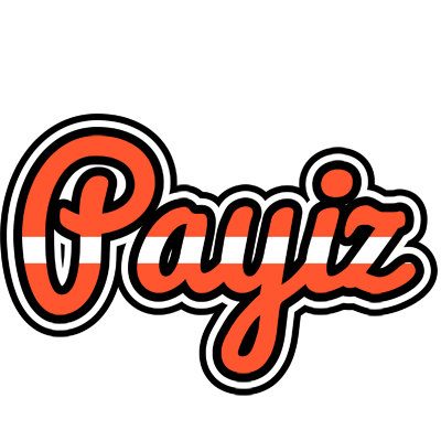 Payiz denmark logo