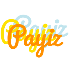 Payiz energy logo