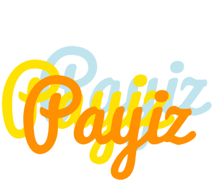 Payiz energy logo