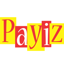 Payiz errors logo
