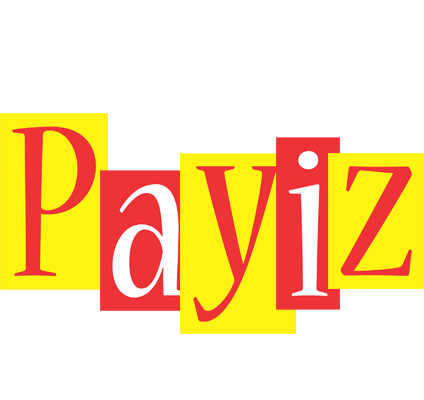 Payiz errors logo