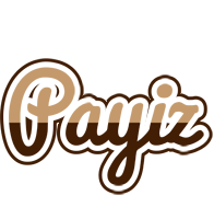 Payiz exclusive logo