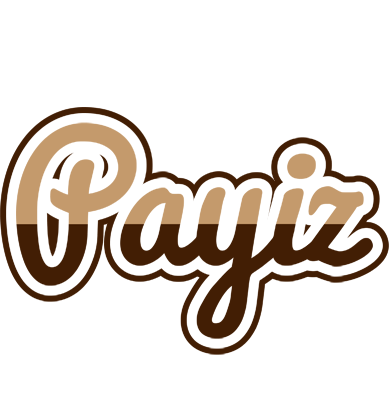 Payiz exclusive logo