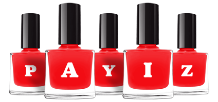 Payiz fashion logo