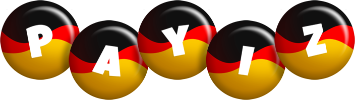 Payiz german logo