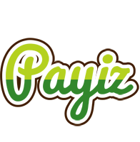 Payiz golfing logo