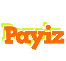 Payiz healthy logo