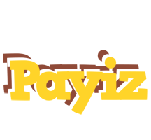 Payiz hotcup logo