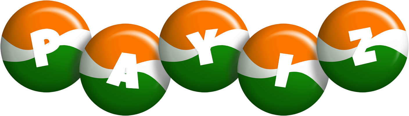 Payiz india logo