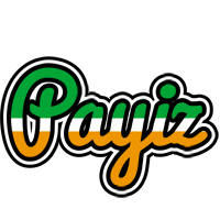 Payiz ireland logo