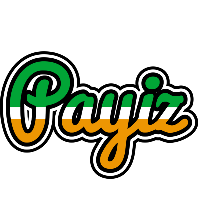 Payiz ireland logo