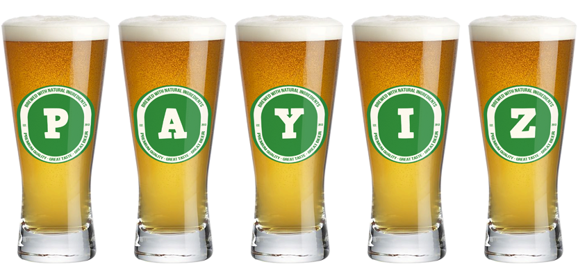Payiz lager logo