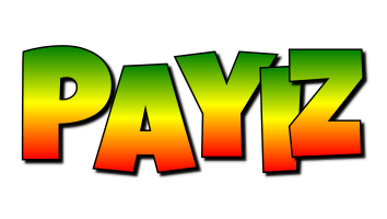 Payiz mango logo