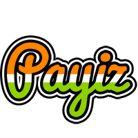 Payiz mumbai logo