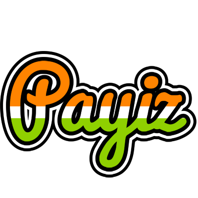 Payiz mumbai logo