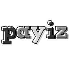 Payiz night logo