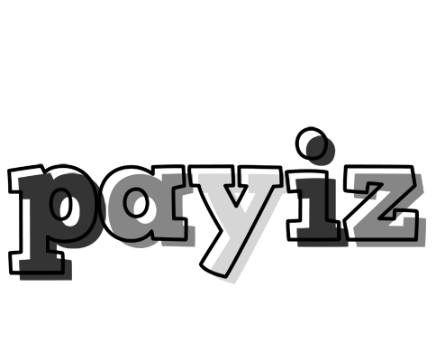 Payiz night logo