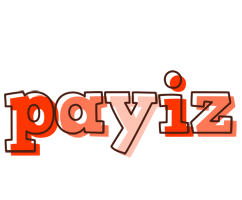 Payiz paint logo