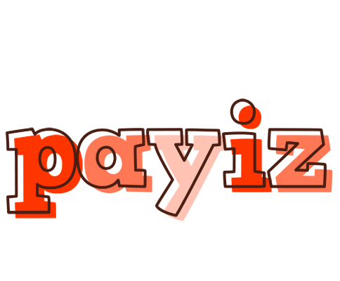 Payiz paint logo