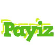 Payiz picnic logo