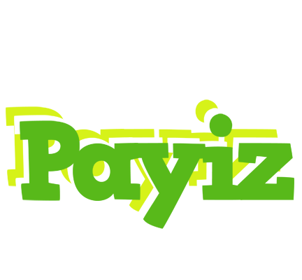 Payiz picnic logo