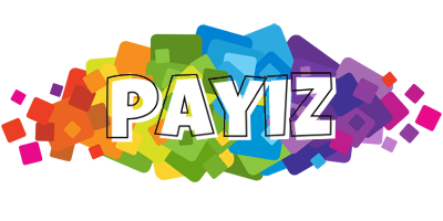 Payiz pixels logo