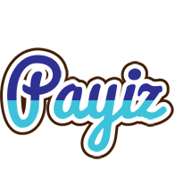 Payiz raining logo