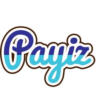 Payiz raining logo