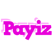 Payiz rumba logo