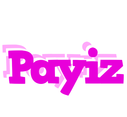 Payiz rumba logo