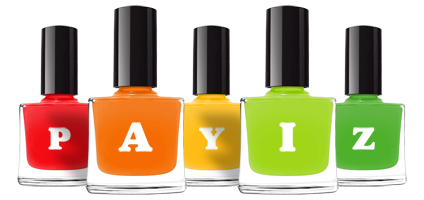 Payiz saloon logo