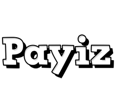 Payiz snowing logo